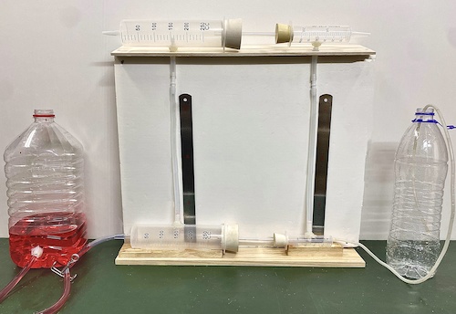 图二 特等奖获奖作品展示